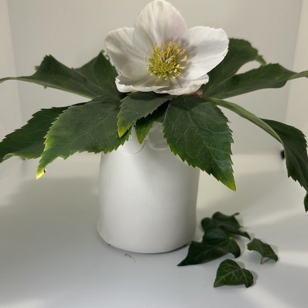 Photophore, Vase en porcelaine feuilles de lierre 2 Photophore, Vase en porcelaine feuilles de lierre – Image 2